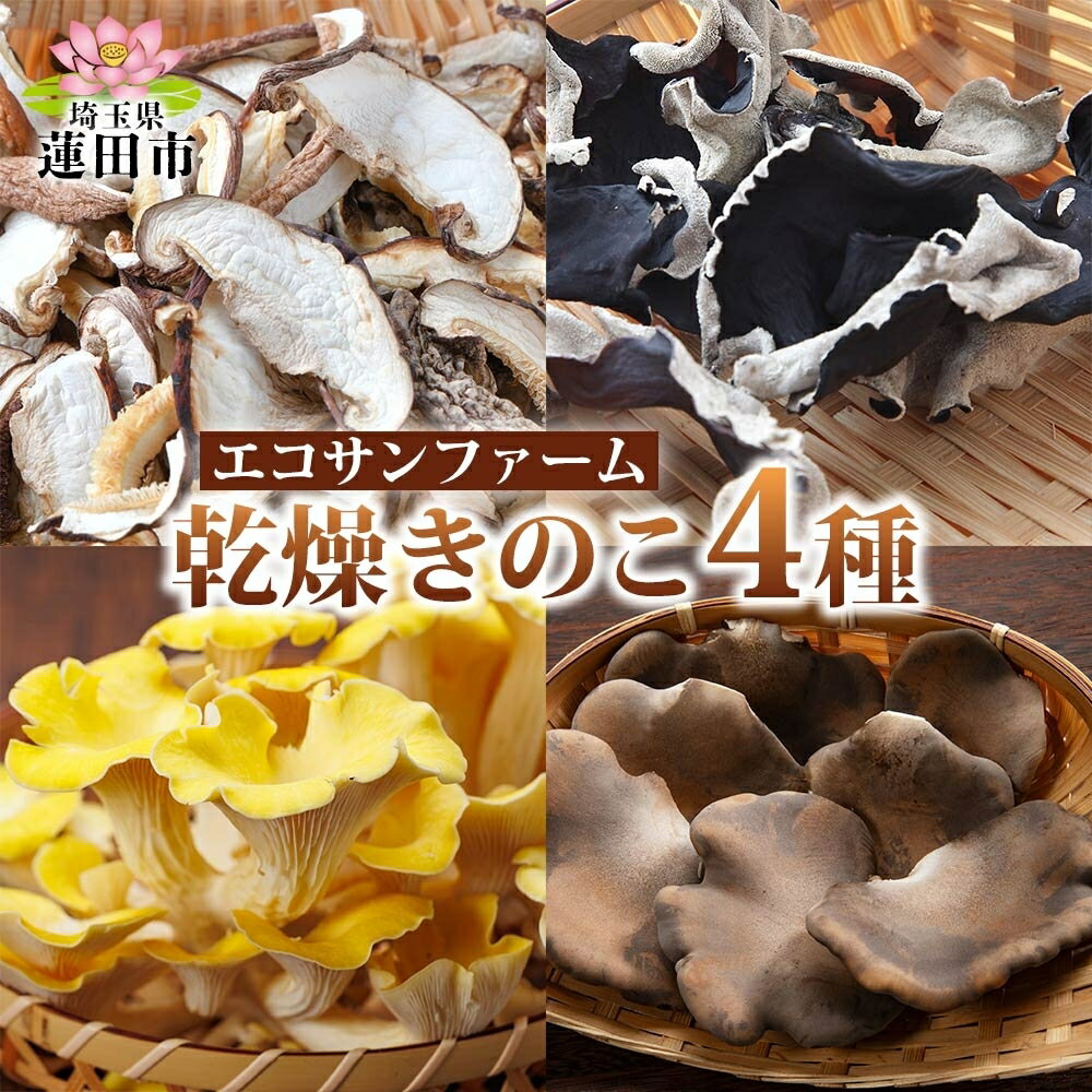 【ふるさと納税】乾燥キノコ4種セット 干ししいたけ 干しきくらげ 干したもぎ茸 干しあわび茸 乾物 食物繊維 国産 お取り寄せ グルメ こだわり 簡単調理 ビタミン きのこ ヘルシー 送料無料 埼玉県 蓮田市