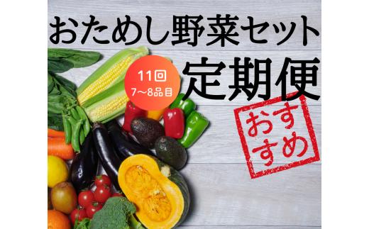【定期便11回】注文が来てから収穫発送！収穫したばかりの新鮮野菜セットお試しコース 《7～8品》  季節のお野菜 おまかせ お楽しみ 獲れたて産地直送 旬 春野菜 ベジタブル ヘルシー 健康 詰め合わせ 一関市