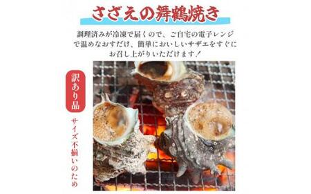 【訳あり】 さざえの舞鶴焼き 100～150gサイズ×5個 サザエ 訳ありサザエ こだわりだしのサザエ 採れたての味が楽しめるこだわりのサザエ 大きさ不揃いサザエ プロトン冷凍 冷凍 魚介 海鮮 つぼ