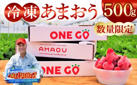 【数量限定】福岡県産あまおう（冷凍500g）特別栽培_急速冷凍 いちご あまおう 500g 冷凍 3Dフリーザー 長期保存可能 国産 サクサク シャーベット フルーツ デザート フレッシュ 果物 便利 安心 長持ち 保存料不使用 無香料 無加糖 エコファーマー GAP認定 福岡県 久留米市 送料無料_ Fi203-01