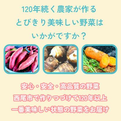 ふるさと納税 西尾市 【粘りと甘みが段違い】里芋『とろまろ』土付き・1.8kg3箱・H120 |  | 01