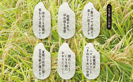 令和7年産　星空舞　５㎏（５㎏×１袋）