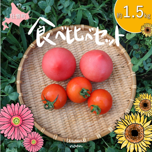 北海道壮瞥町産 トマト食べ比べ2種セット1.5kg(ラビットゴッホ＆ルネッサンス) SBTAJ012