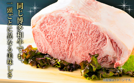 博多和牛サーロインステーキ 250g (250g×1枚)《30日以内に出荷予定(土日祝除く)》 博多和牛 株式会社MEAT PLUS 牛肉 サーロイン A5ランク のみ使用 厳選