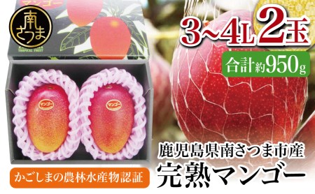 鹿児島県産 完熟マンゴー 3～4Lサイズ 2玉（化粧箱入り）［数量・期間 限定 ］先行予約 先行受付 マンゴー 完熟マンゴー トロピカルフルーツ 完熟 芳醇 国産 果実 果物 くだもの フルーツ 果肉 果汁 食品 デザート スイーツ おやつ 甘い ジューシー 旬 夏 季節限定 季節の果物 南国フルーツ 南国 おすすめ 高級 ご褒美 贅沢 グルメ 冷蔵 JAさつま日置 鹿児島 鹿児島県 南さつま市