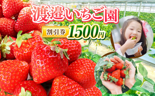 【 2026年 先行予約 】【 千葉県君津市 渡邉いちご園 】 割引券 1500円 | いちご狩り いちご ストロベリー イベント チケット 利用券 いちご園 割引 割引チケット 観光 千葉県 君津市