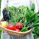 【ふるさと納税】津軽の季節の野菜詰め合わせセット 【中泊町特産物直売所ピュア】旬の野菜 旬野菜 旬 新鮮 食品 グルメ 詰め合わせ 冷蔵 ファーマーズマーケット 野菜 美味しい 甘い サラダ 中泊町 青森 F6N-022