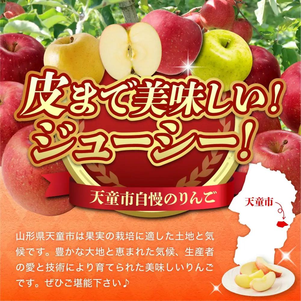 りんご 早生ふじ 3kg 果物 山形 りんご