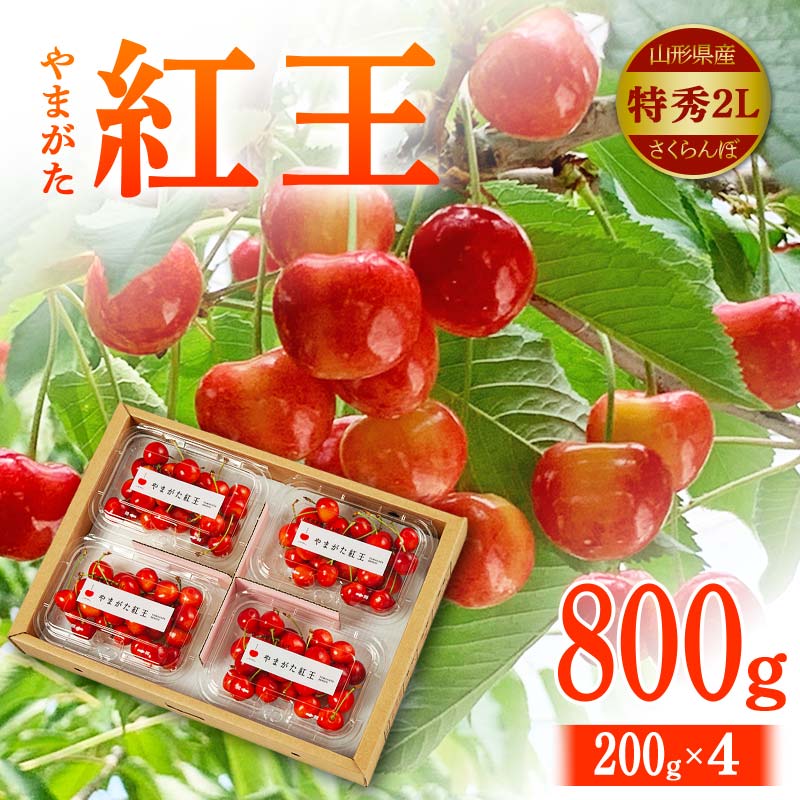 【ふるさと納税】 【令和7年先行予約】 山形県産 さくらんぼ やまがた紅王 特秀2L800g（200g×4） FSY-2147