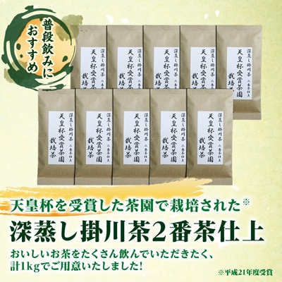 天皇杯受賞茶園栽培茶2番茶仕上　深蒸し掛川茶100g×10袋【配送不可地域：離島・沖縄県】【1303841】