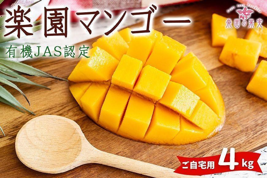 DQ019《先行予約》2026年発送 有機JAS認証マンゴー（アーウィン）ご自宅用 4kg【楽園の果実】