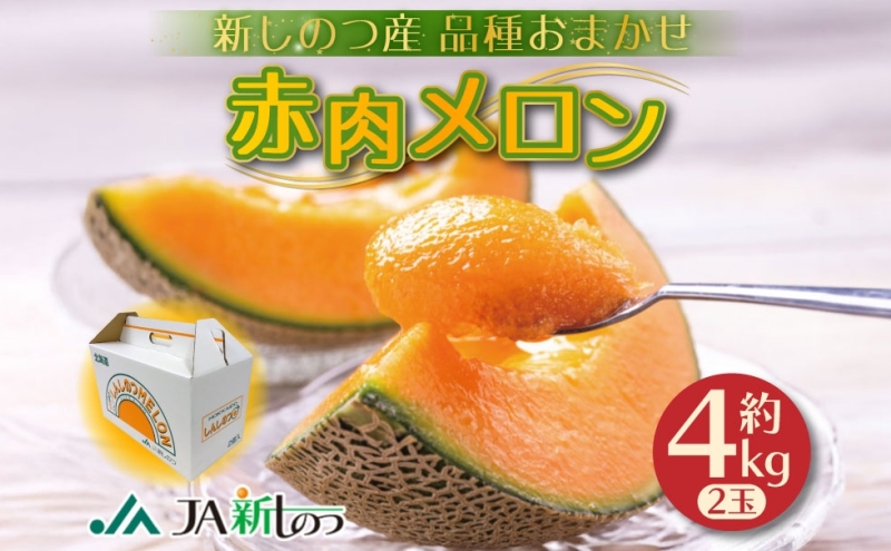 北海道 新しのつ産 赤肉メロン 2玉 約4kg メロン 果物 フルーツ 旬 季節 希少 甘い 豊潤 国産 デザート ご褒美 ギフト お祝い 贈答品 贈り物 産地直送 JA新しのつ 送料無料 新篠津