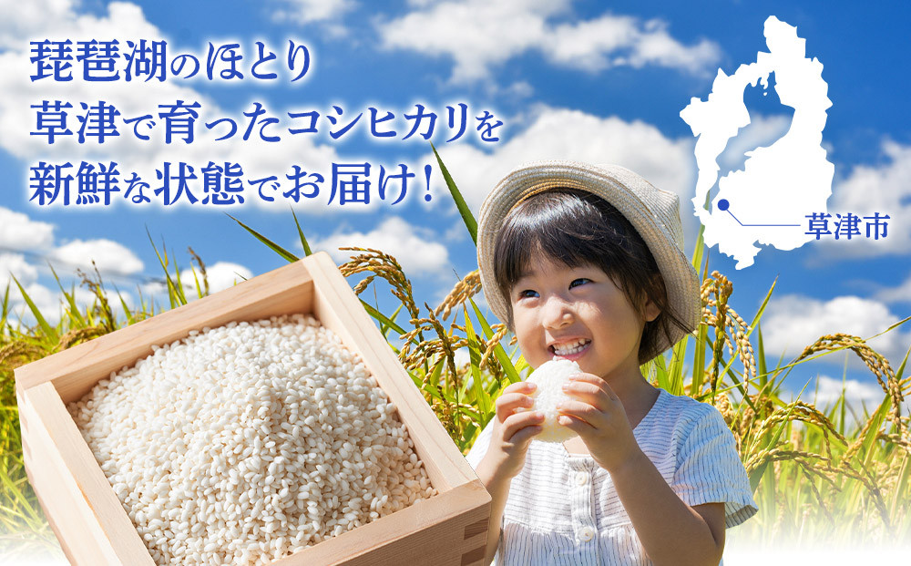 令和7年産　近江米コシヒカリ（玄米）5kg×4　計20kg