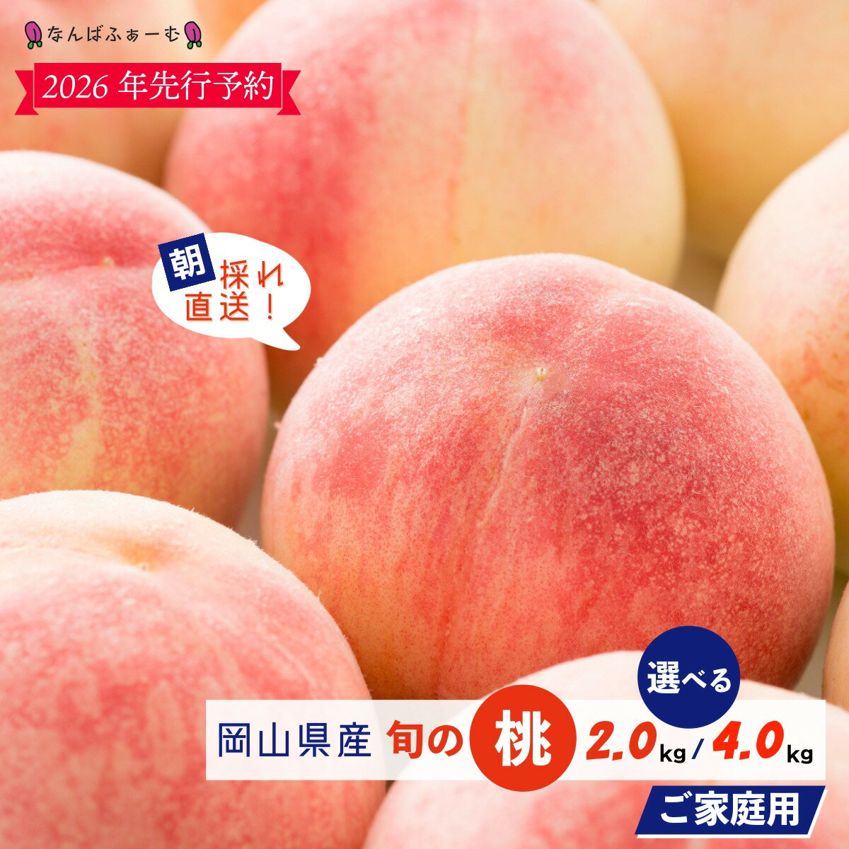 【ふるさと納税】＜2026年先行予約＞＜選べる容量＞［なんばふぁーむ］岡山県産 旬の桃［ご家庭用］2.0kg（6～9玉）or 4.0kg（9～15玉） | 厳選 ふるさと納税 フルーツ 桃 もも 岡山 果物 くだもの 送料無料【2026年発送】