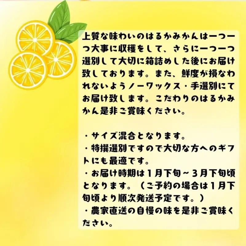 【訳あり・ご家庭用】 有田育ちの はるか みかん約7.5kg+200g(傷み補償分)【2027年1月下旬～2月下旬に順次発送】【AA-ard252】