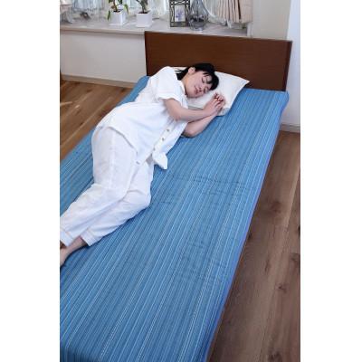 ふるさと納税 蒲郡市 【オールシーズンOK!】三河木綿ふわふわ綿わた敷きパッド　ダブル　1枚 _【G0235】 |  | 01