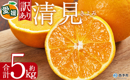 ＜訳あり 清見 (サイズ混合) 約5kg＞ 愛媛 蜜柑 ミカン みかん 果物 フルーツ 柑橘 国産 きよみ 訳アリ ご家庭用 愛媛県産 西予市産 西宇和 特産品 丸二青果 愛媛県 西予市【常温】『2026年3月中旬から順次出荷予定』MMY0019