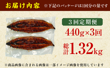 【3回定期便】中国産ニホンウナギ　特大蒲焼（220g×2尾） 広川町 / イールファクトリー株式会社[AFBS006]