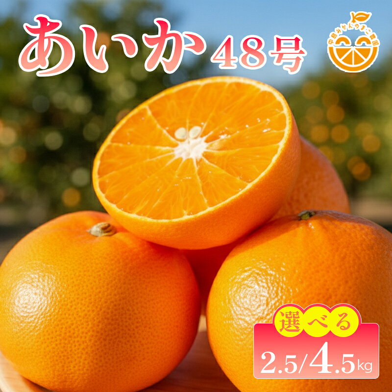 【ふるさと納税】 中島産 あいか48号 ( 紅プリンセス と同品種 ) 2.5kg / 4.5kg 中島みかんのまこ農園 【2027年2月中旬頃から順次発送】 | みかん ミカン オレンジ おれんじ あいか48号 フルーツ 果物 くだもの 高級柑橘 愛媛県松山市 中島産 柑橘王様