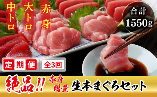 【定期便3回】たっぷり4人前！生本まぐろ三昧 赤身増量 定期便3回コース