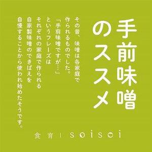 ストレスチェック&あなたのなりたいを叶える食提案付 栄養プラス味噌作り体験チケット【1名様 約２時間】