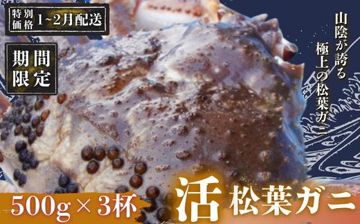 
            【期間限定配送！1～2月末の発送希望の方へ！】松葉ガニ 500g×3杯〈活〉松葉ガニ マツバガニ 冬の旬。贅沢の極みをご家庭で 松葉カニ マツバガニ カニ 蟹 新鮮 旬 プレゼント 贈与 お祝い事 贈り物 祝辞 隠岐 西ノ島町
          