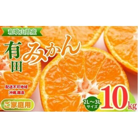 【先行予約】【ご家庭用】和歌山有田みかん約10kg(2L、3Lサイズ)〇