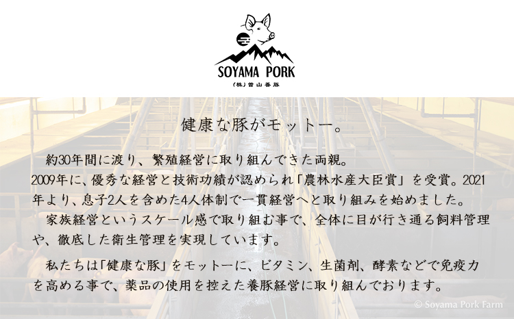 ソヤマポークのしゃぶしゃぶ食べ比べセット（4種類100g×12）[薄切り 小分け スライス 豚しゃぶ すき焼き 宮崎県産] TF0828-P00078