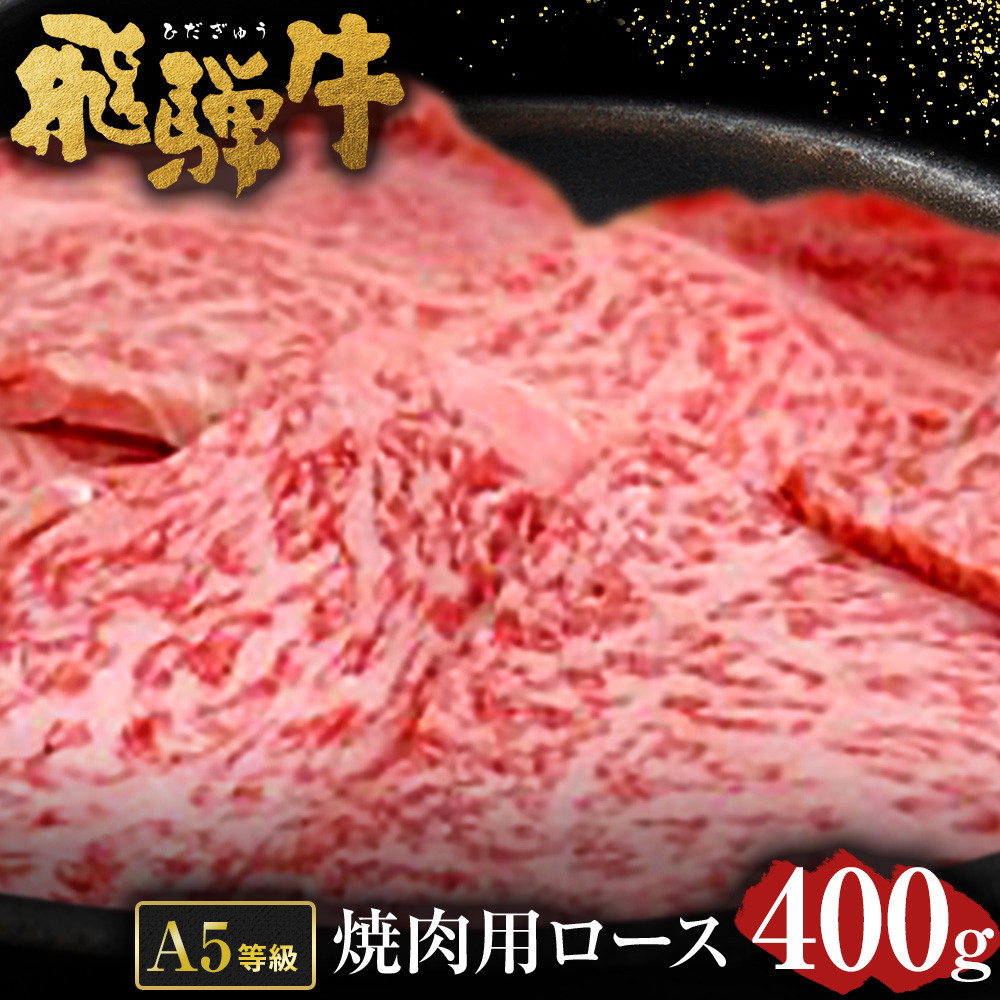 
飛騨牛 A5 等級 焼肉 用 （ ロース 400g） | 肉のかた山 牛肉 M22S38
