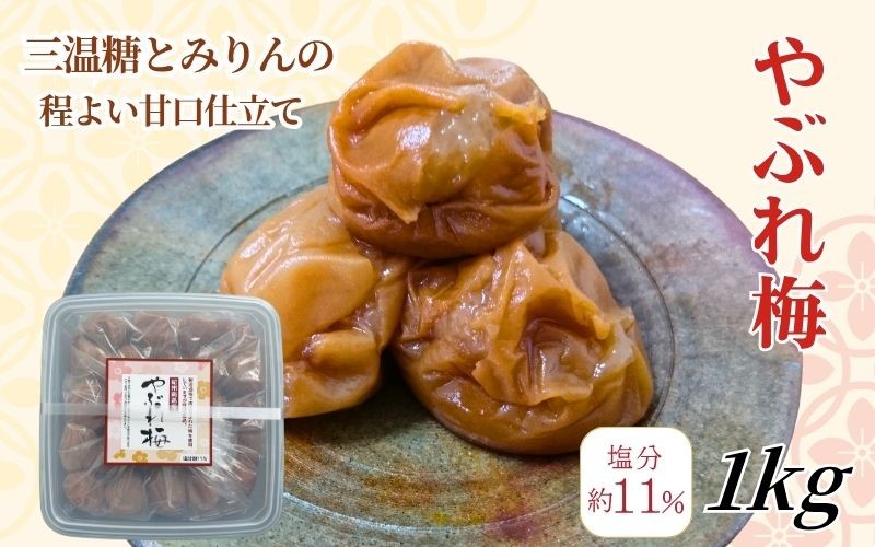
                  【やぶれ梅】 紀州南高梅  塩分11％ やぶれ梅 1kg wtgcnou002A
                