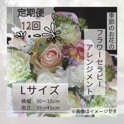 ふるさと納税 筑西市 【毎月定期便】癒しのフラワーセラピーアレンジメント/Lサイズ全12回