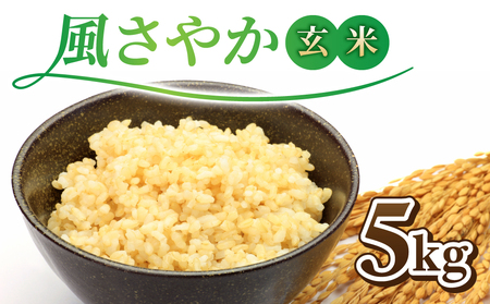 令和7年産新米！長野県オリジナル品種「風さやか」玄米5kg　※2025年10月上旬以降順次発送 玄米玄米玄米玄米玄米玄米玄米