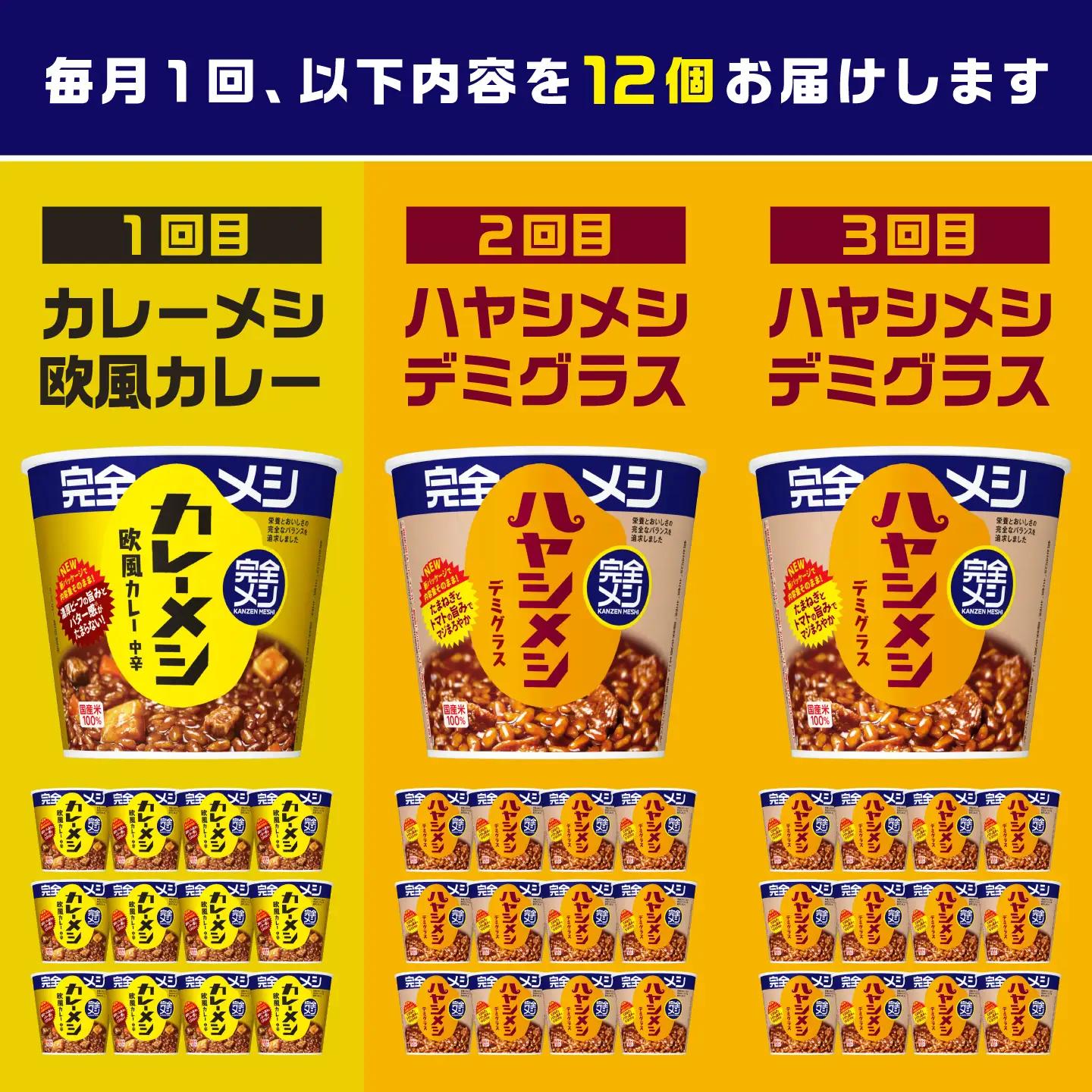 【3回定期便】完全メシバリエーション定期便（欧風カレー・ハヤシメシ デミグラス・ハヤシメシ デミグラス）[BIBI043]