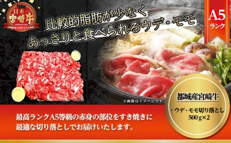 宮崎牛(A5)ウデ・モモ切り落とし すき焼き用1kg_AD-0104_(都城市) 最高級国産黒毛和牛 ブランド牛 肉質5等級(最高評価) 牛ウデ肉・牛モモ肉 500ｇ×2 合計1kg すきやき