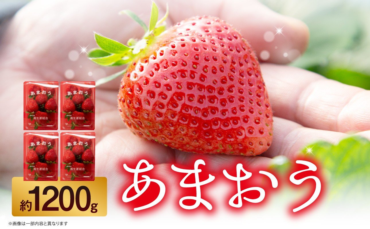 
            苺（あまおう）4パック入り（300～350g） いちご 苺 イチゴ 旬 あまおう ブランド くだもの 福岡県 八女市
          
