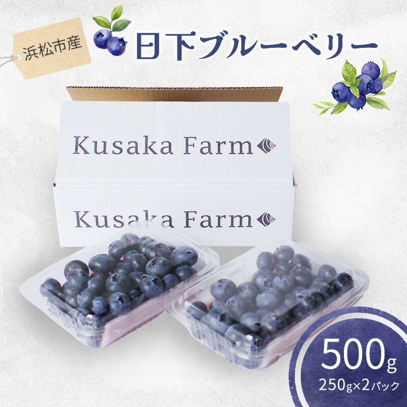 【ふるさと納税】浜松市産日下ブルーベリー500g（250g×2パック）【配送不可：離島】 果物 くだもの フルーツ ブルーベリー 日下農園 大粒 完熟 フレッシュ 豊かな甘み 爽やかな風味 自然 贅沢 手摘み 手作業 静岡 浜松市　お届け：2026年4月1日～2026年5月23日