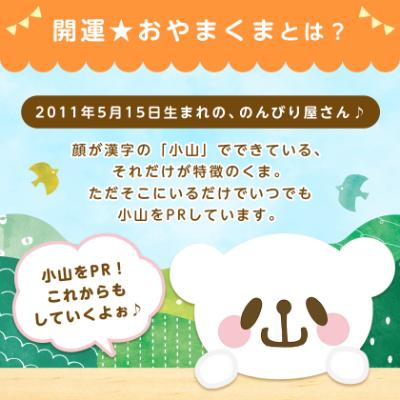 ふるさと納税 小山市 開運おやまくま200Wボックスティッシュ　60箱(5個入り×12セット)(1箱200組(400枚)) |  | 02