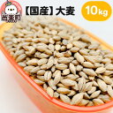 【ふるさと納税】【国産】大麦 10kg×1袋 サイトウ・コーポレーション 飼料