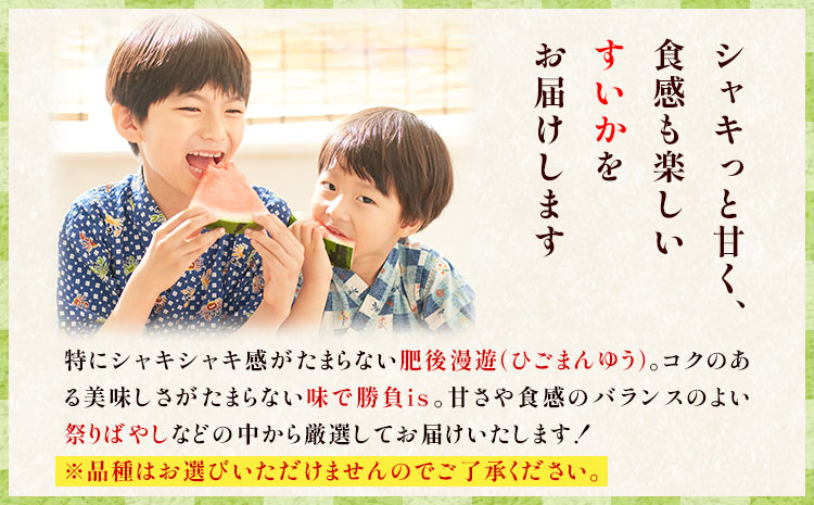 【先行予約】厳選すいか 1玉(8-9kg) 道の駅七城メロンドーム《5月中旬-6月中旬頃出荷》品種おまかせ ランダム 肥後漫遊 味で勝負iS 祭りばやし 果物 フルーツ スイカ 西瓜 九州産 熊本県産