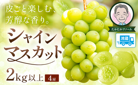 ぶどう シャインマスカット マスカット 4房 2kg 《9月上旬-9月下旬頃出荷》 たかたかファーム ブドウ 葡萄 マスカット 果物 フルーツ ギフト 岡山県 笠岡市