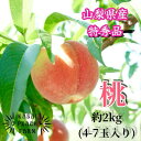 【ふるさと納税】【2025年先行予約】厳選朝採り桃 山梨の笠井桃園の桃 約2kg【配送不可地域：離島】【1587429】