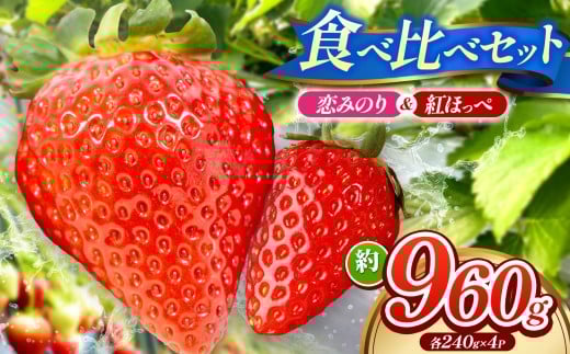 「 紅ほっぺ 」「 恋みのり 」 食べ比べ セット 各 240g × 1パック 計 4パック （ 約 960g  ） ｜　紅ほっぺ 恋みのり 食べ比べセット いちご イチゴ 苺 産地直送  旬の味覚 贈答用 冬限定 果物 スイーツ  山口県 平生町