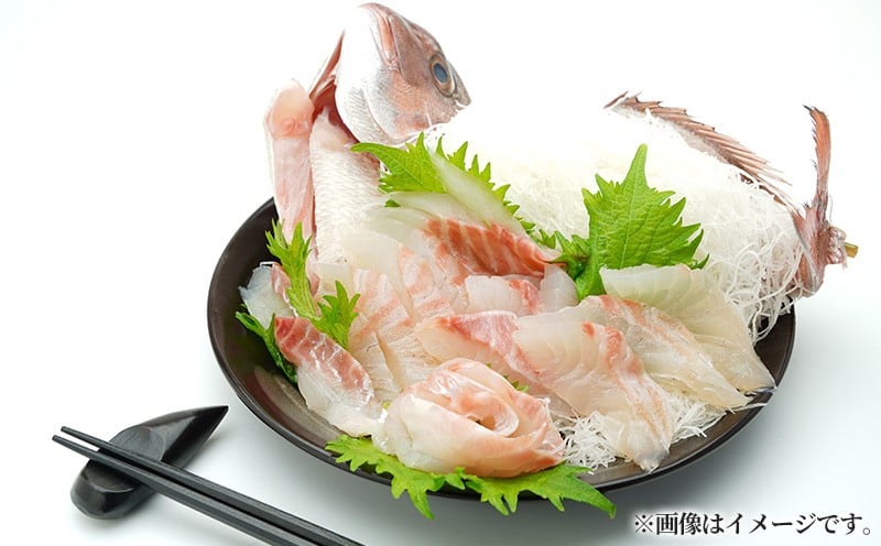 
            真鯛 タイ 半身 ( アラ付き ) 900g ～ 2.5kg 選べる容量 産地直送 冷蔵 新鮮 鮮魚 養殖 カマ アラ 鯛 たい タイ 刺身用 しゃぶしゃぶ 鯛しゃぶ 鍋 鯛めし 鯛茶漬け カルパッチョ タタキ 炙り 塩焼き 煮込み 料理 三重県 伊勢 志摩 南伊勢 7000円 七千円 10000円以下 一万円以下
          