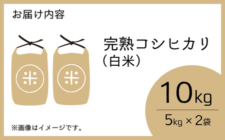 【先行予約】【令和7年産　新米】くらもち完熟米 コシヒカリ 5kg×2袋【2025年10月より順次発送】ふるさと納税 小分け 米 5kg 10kg 福井県 高浜町 の おいしい お米 発祥の地 こめ 