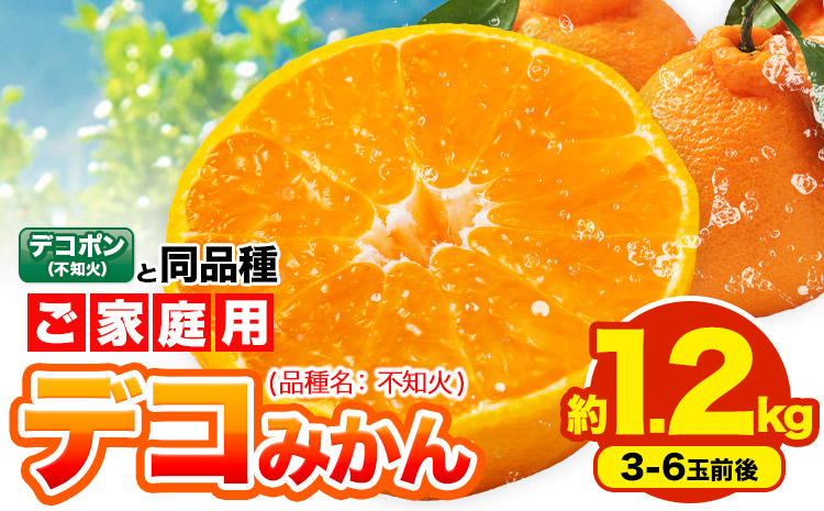 不知火 デコみかん ( デコポン と同品種 ) ご家庭用 訳あり 熊本県産 ( 苓北町産含む )約1.2kg(3-6玉前後) 柑橘 《2026年2月上旬-3月末頃出荷》 みかん フルーツ 不知火 訳ア