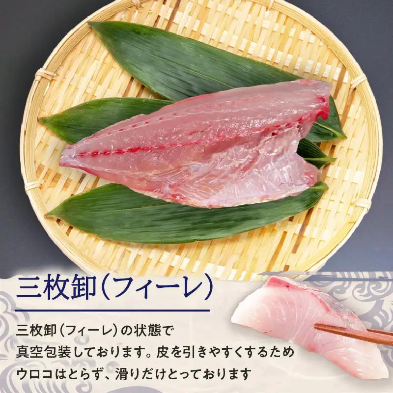 鹿児島県産 カンパチ 約3.5kg 三枚卸（ フィーレ ） 活〆 ※ 真空包装 K294-003_02 魚