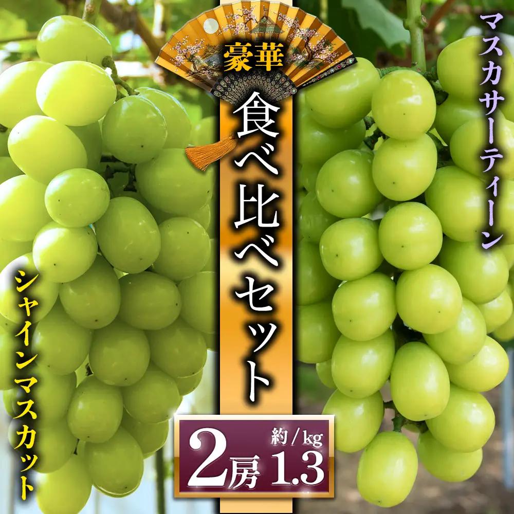【予約】シャインマスカットと希少品種 マスカサーティーン ぶどう食べ比べ 後藤ぶどう園  希少 ぶどう旬 新鮮 期間限定 皮ごと ブドウお取り寄せ　熊本県　阿蘇市