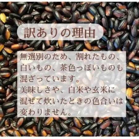 【令和8年産先行予約】有機栽培 天日干し 訳あり黒米(玄米) 150g【1733878】