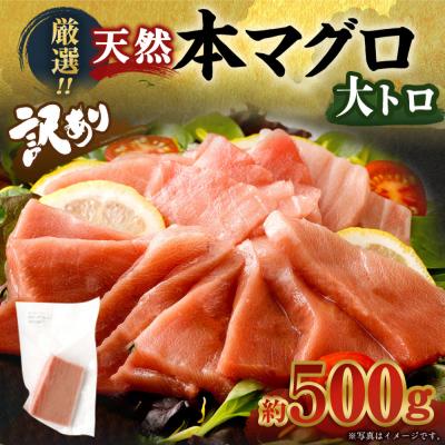 ふるさと納税 室戸市 厳選天然本マグロ　大トロたっぷり500g【数量限定】