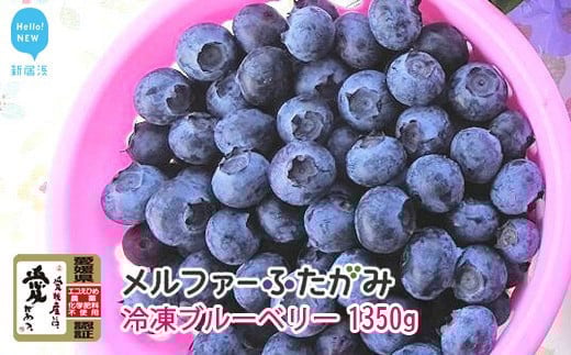 
            【先行予約】完熟ブルーベリー1350g（冷凍） 毎年人気の冷凍ブルーベリーです メルファーふたがみ
          